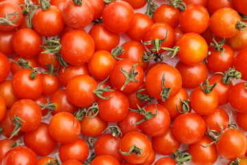 Red tomato
