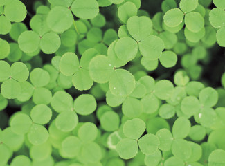 아름다운 계절의 변화