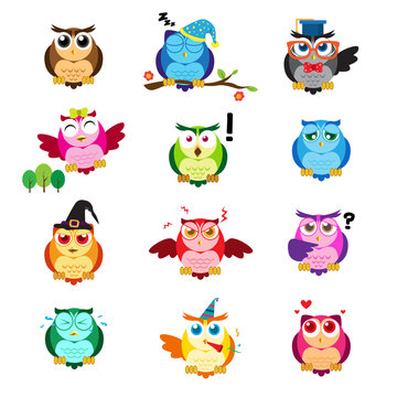 Different owls with different expressions