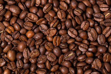 Coffee beans