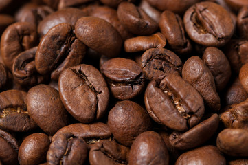Coffee beans close-up