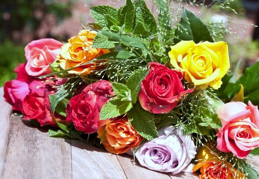 Bunte Rosen