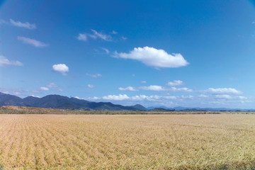 가을 농촌 풍경