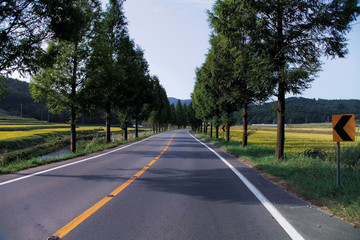 Fototapeta premium 한국의 길