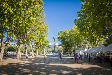Fototapeta premium Sevilla in Spain