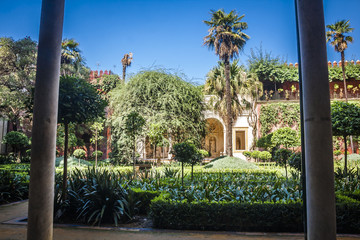 Fototapeta premium Casa de Pilatos, Seville, Andalusia, Spain