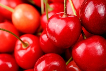 Red Sweet Cherries Close-Up