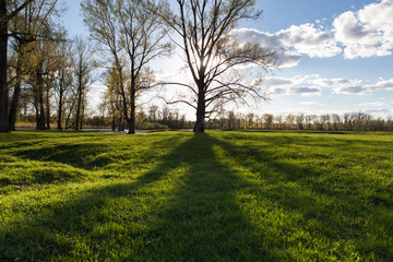 Fototapeta na wymiar Sunny landscape of ural meadow