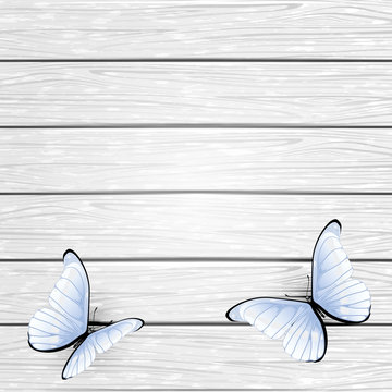 White butterflies on wooden background