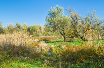 Fototapeta na wymiar Seasonal landscape in central Ukraine near Dnepropetrovsk city