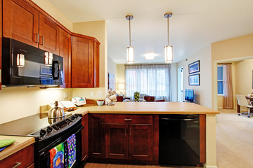 Modern apartment interior. Open floor plan
