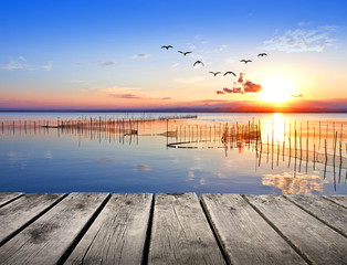 Obraz na płótnie Canvas la luz de la mañana en el lago