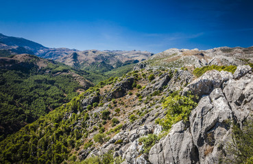 beautiful view in Spain near Ronda