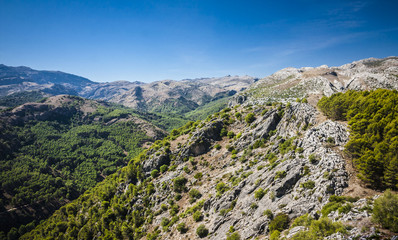 Fototapeta premium beautiful view in Spain near Ronda