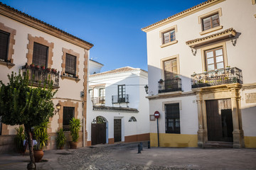 Fototapeta na wymiar The village of Ronda in Andalusia, Spain.