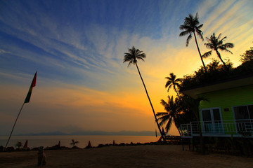 Coconut palm and Tropical beach