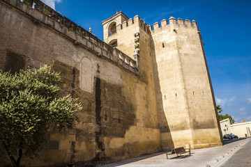 Wall of Cordoba Alcazar , Cordoba , Andalusia , Spain