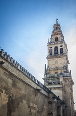 Obraz premium tower of the mosque in Cordoba, Andalucia, Spain