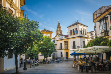 Naklejka premium Typical cobbled mediterranean street of white houses in Cordoba