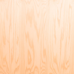 Holz Hintergrund hell