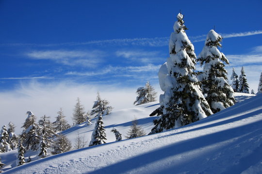 I pendii della Paganella