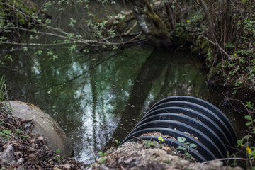 Dirty water stems from the pipe polluting the forest river