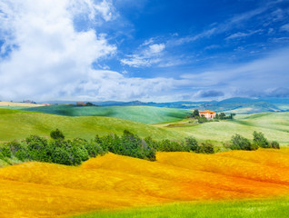 Golden field and Tuscany landscape, Italy