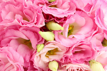 bouquet of eustoma flowers, close up