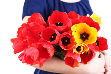 Colorful tulips in female hands isolated on white