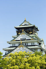 Fototapeta premium 新緑の大阪城