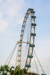 Fototapeta premium Singapore flyer