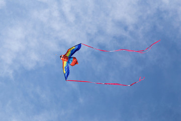 color kite on blue sky