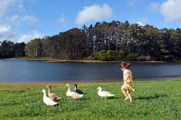 Little girl chasing wild duck