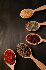 Different spices in spoons on wooden background