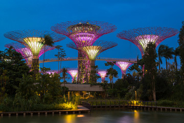 Naklejka premium Gardens by the Bay - SuperTree Grove in Singapore
