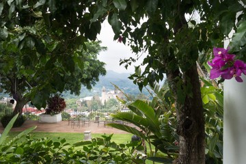 Trees with city in the background, Xochimilco, Mexico City, Mexi