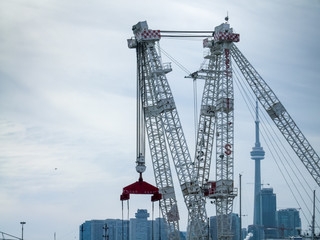 Crane with city in the background, CN Tower, Lake Ontario, Toron