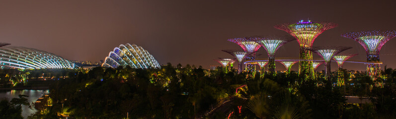 Obraz premium Gardens by the Bay - SuperTree Grove in Singapore