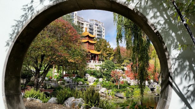 Jardin chinois, Sydney