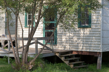 Tree in front of a log cabin, Tobermory, Ontario, Canada