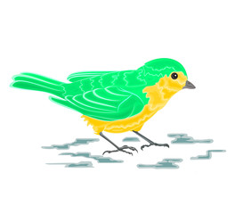 Golden-green bird