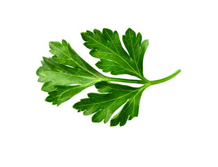 Food  ingredient  celery