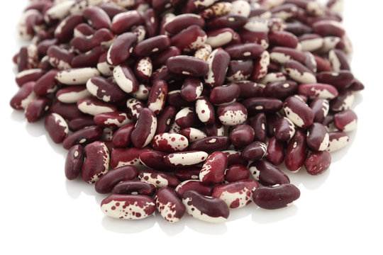 Raw Organic cranberry bean