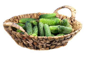 Food  ingredient green cucumbers
