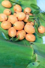 Marian plum fruit - asia fruit