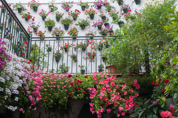 Festival de los Patios Cordobeses (España)