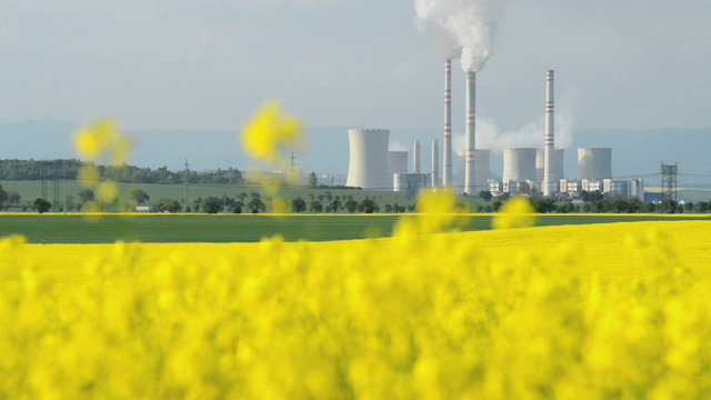 rape field with power station