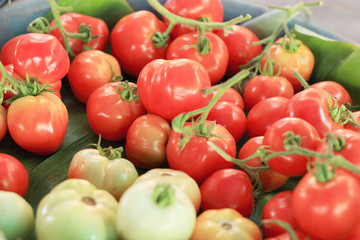 fresh tomatoes in the market