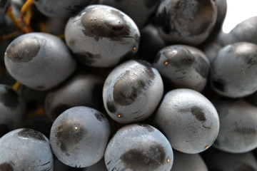 Cluster of grapes closeup