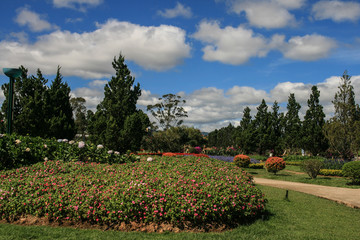 the park in vietnam